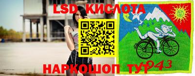 мяу мяу мука Кандалакша