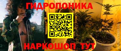 мяу мяу мука Кандалакша
