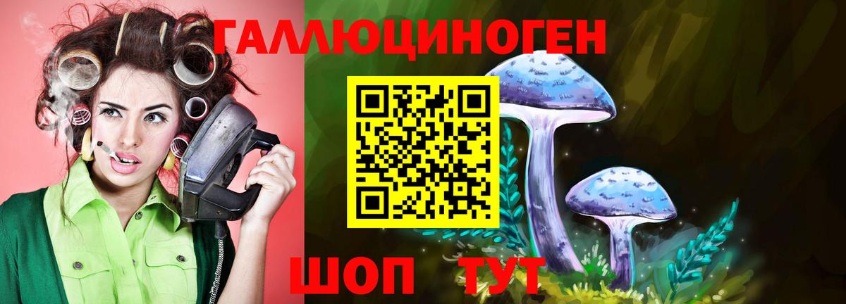 Псилоцибиновые грибы Magic Shrooms  Псилоцибиновые грибы ЛСД  Кызыл  где можно купить   Вход с VPN 